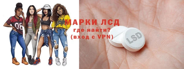 spice Осинники