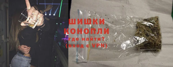 молекула духа Осташков