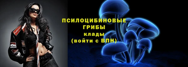 соль ск Пестово