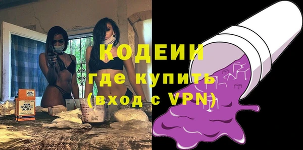 молекула духа Осташков