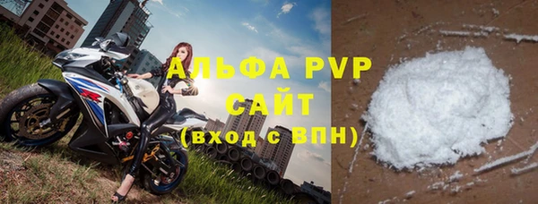 молекула духа Осташков