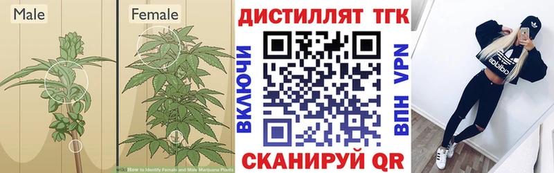 Купить где Спасск-Рязанский Дистиллят ТГК жижа