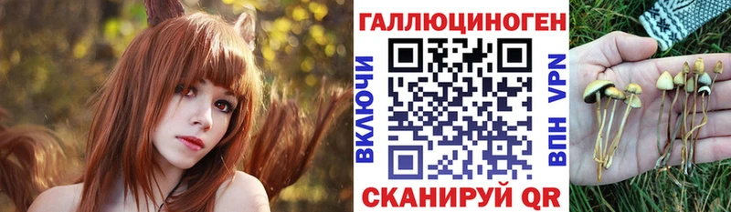 Галлюциногенные грибы Cubensis  Купить где  Спасск-Рязанский 
